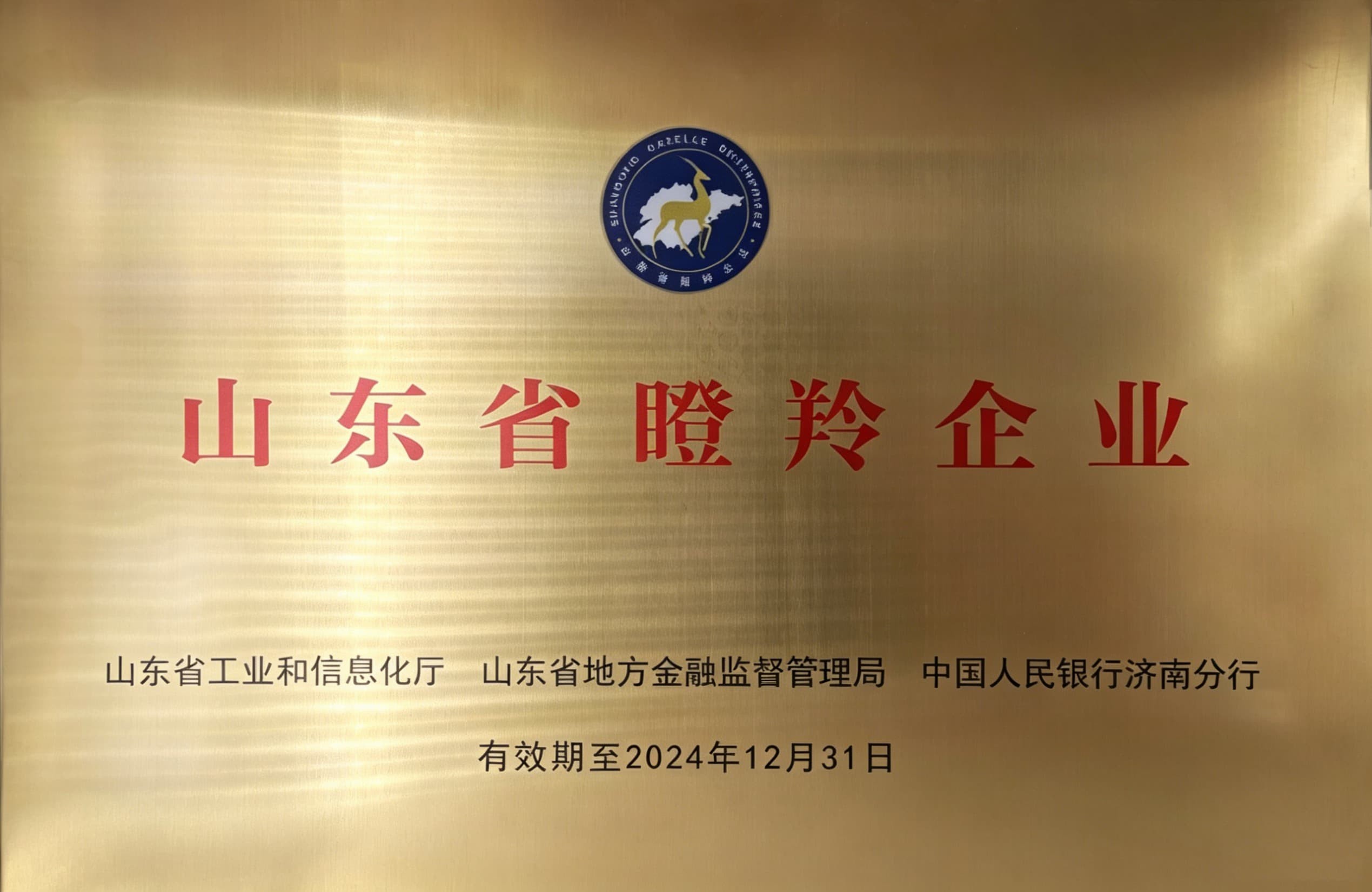 Shandong Gazelle Enterprise