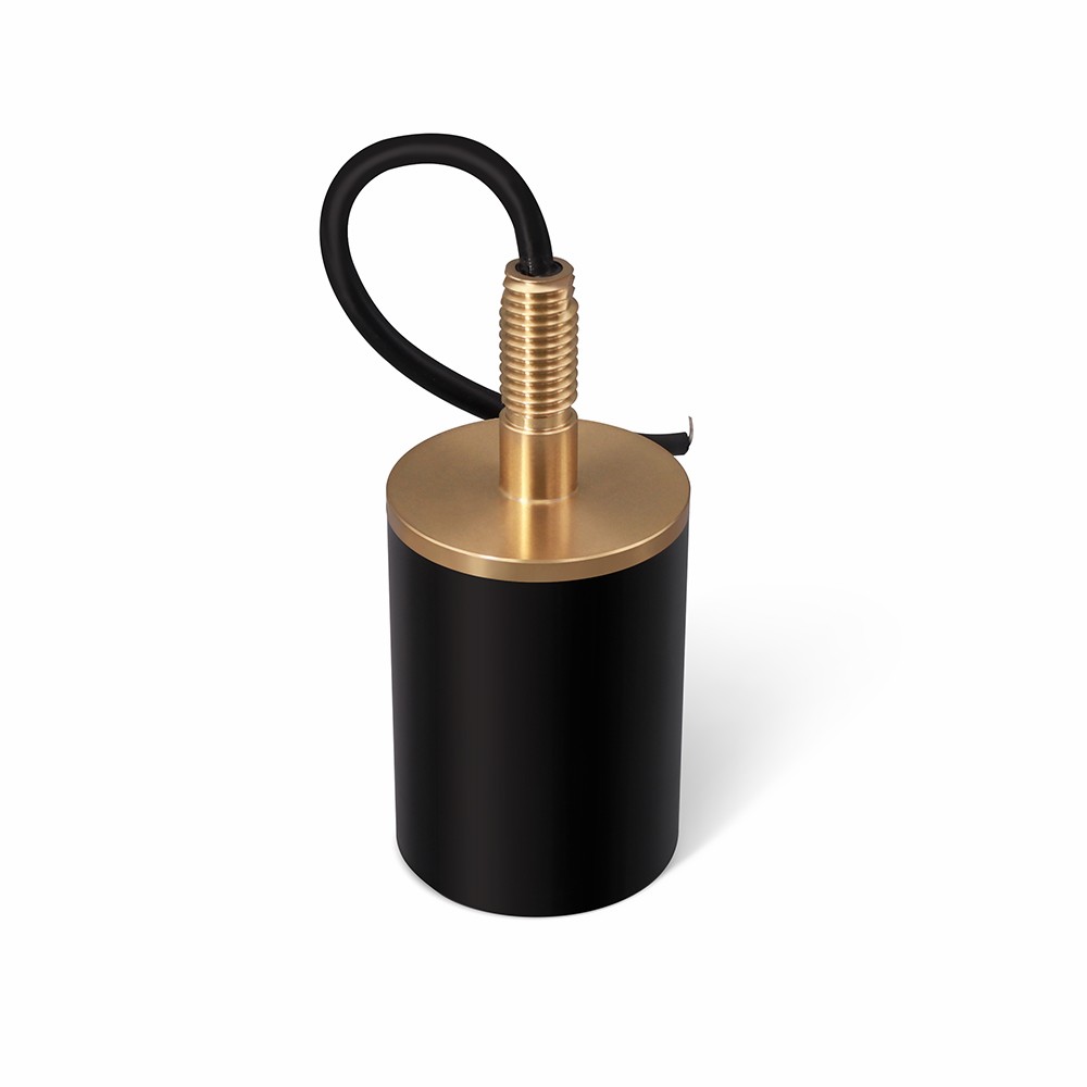 Microphone W-IVE