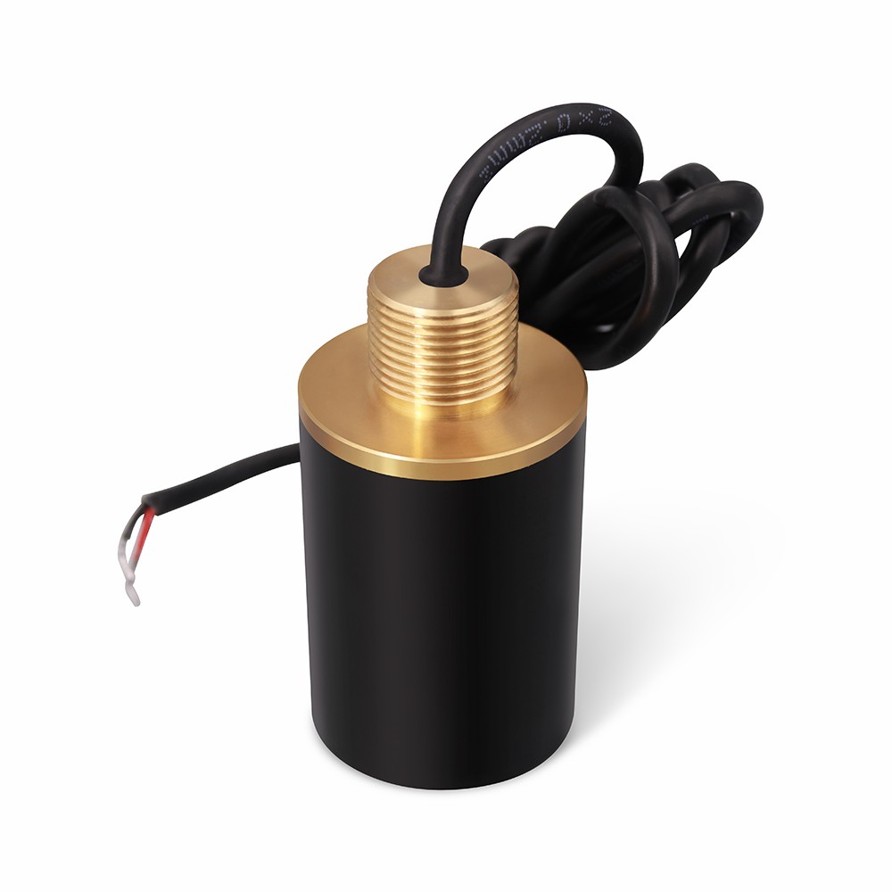 Microphone W-IVJ
